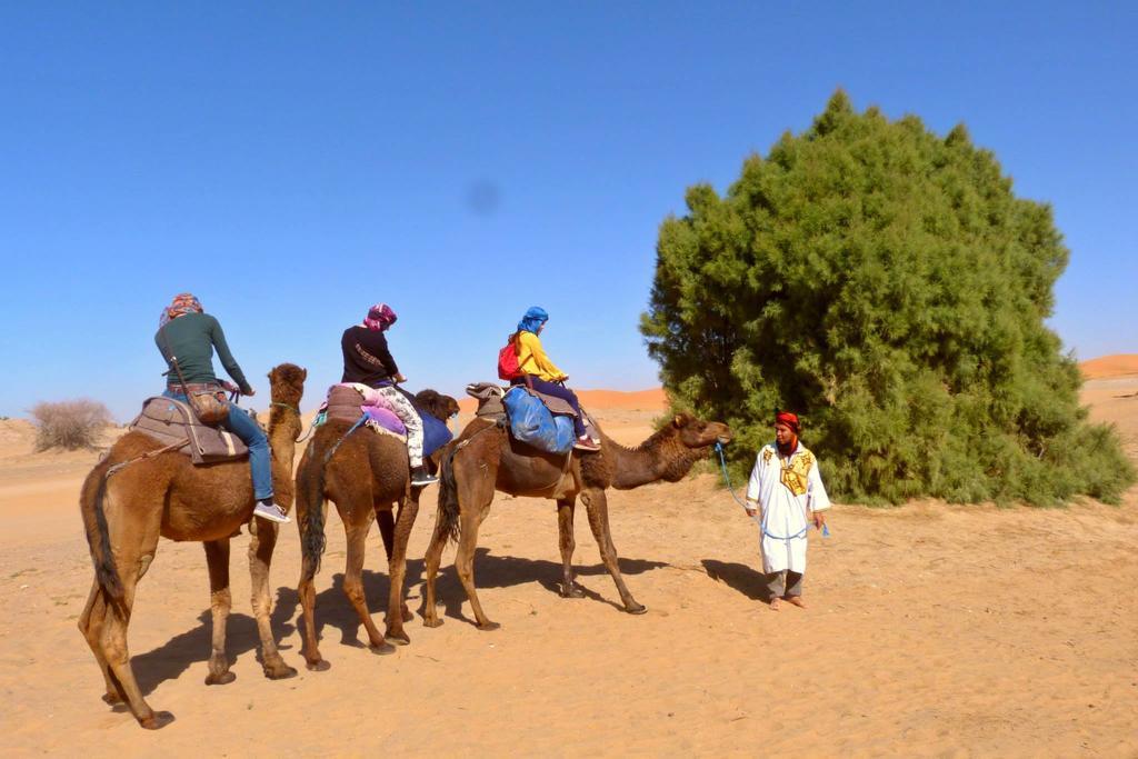 Merzouga Camp And Hostel Room photo